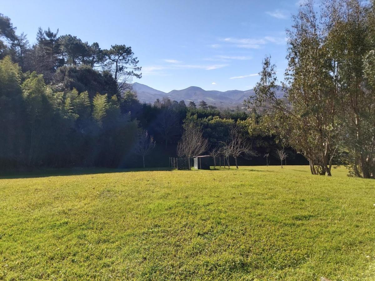Appartement 3*** Avec Jardin Et Wifi A Proximite De Saint Jean De Luz - Fr-1-239-504 Ascain Eksteriør bilde
