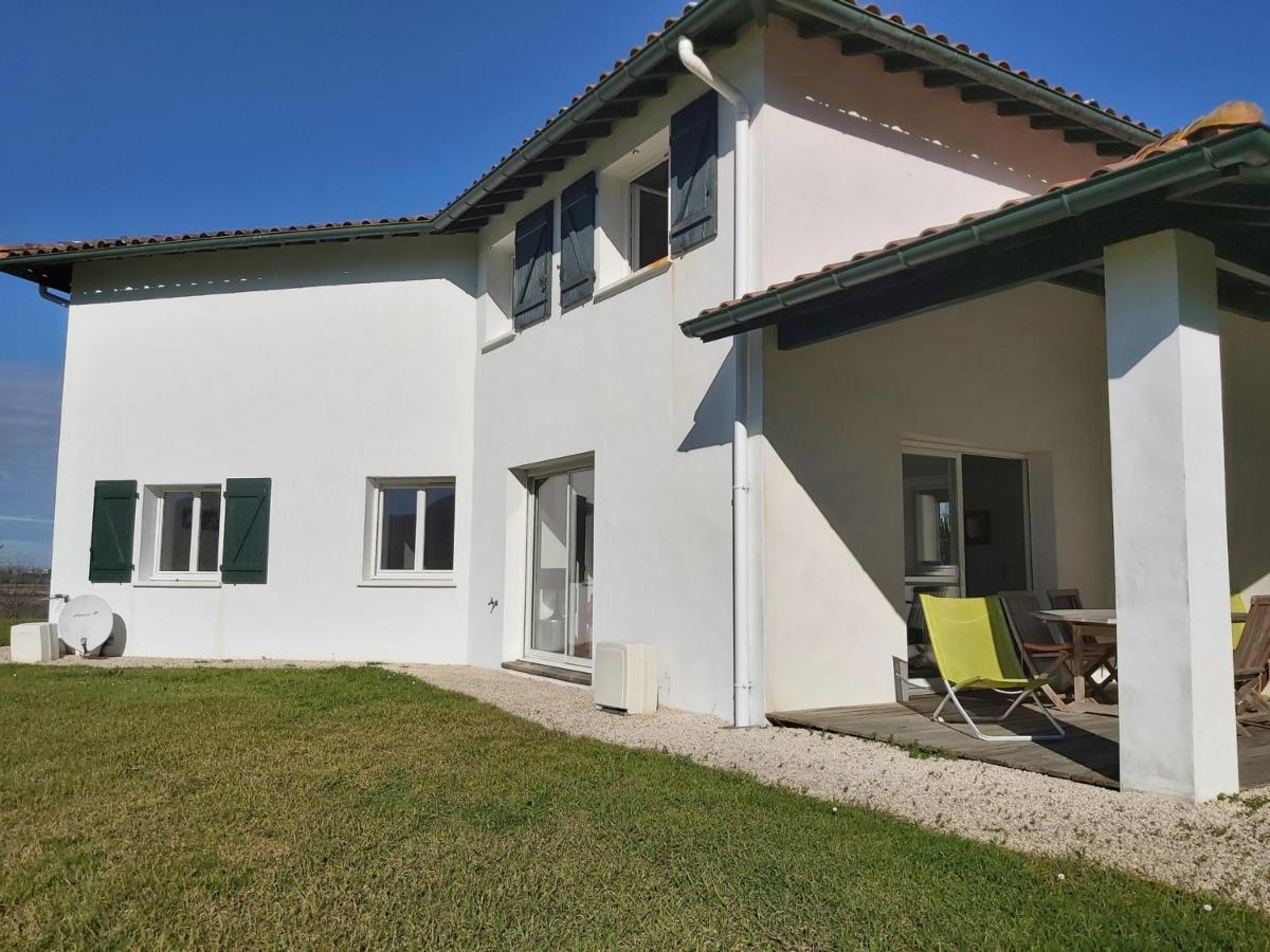Appartement 3*** Avec Jardin Et Wifi A Proximite De Saint Jean De Luz - Fr-1-239-504 Ascain Eksteriør bilde